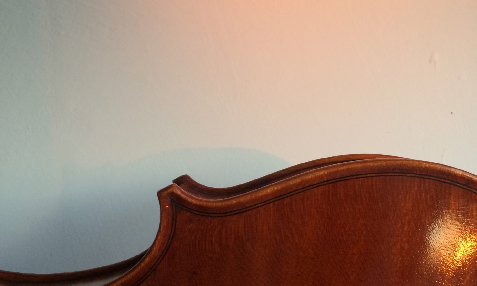 Closeup of the back of a violin by May Robertson